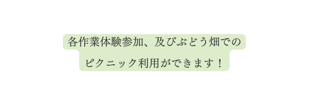 各作業体験参加 及びぶどう畑での ピクニック利用ができます